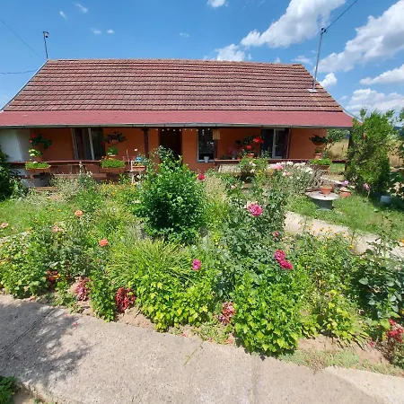 Casa De Vacanta In Tara Fagarasului Beclean  Exterior photo