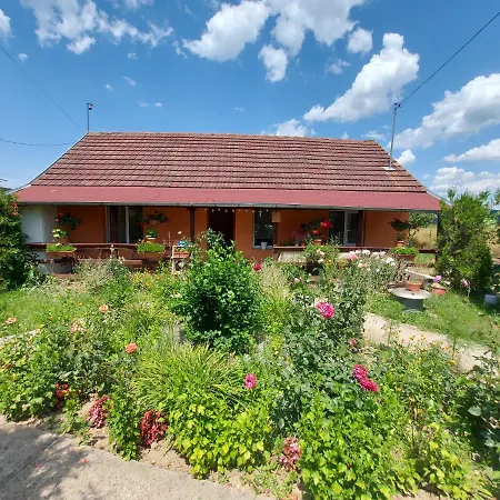 Casa De Vacanta In Tara Fagarasului Beclean  Exterior photo