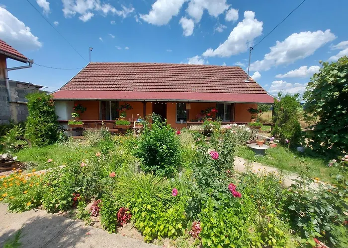 Casa De Vacanta In Tara Fagarasului