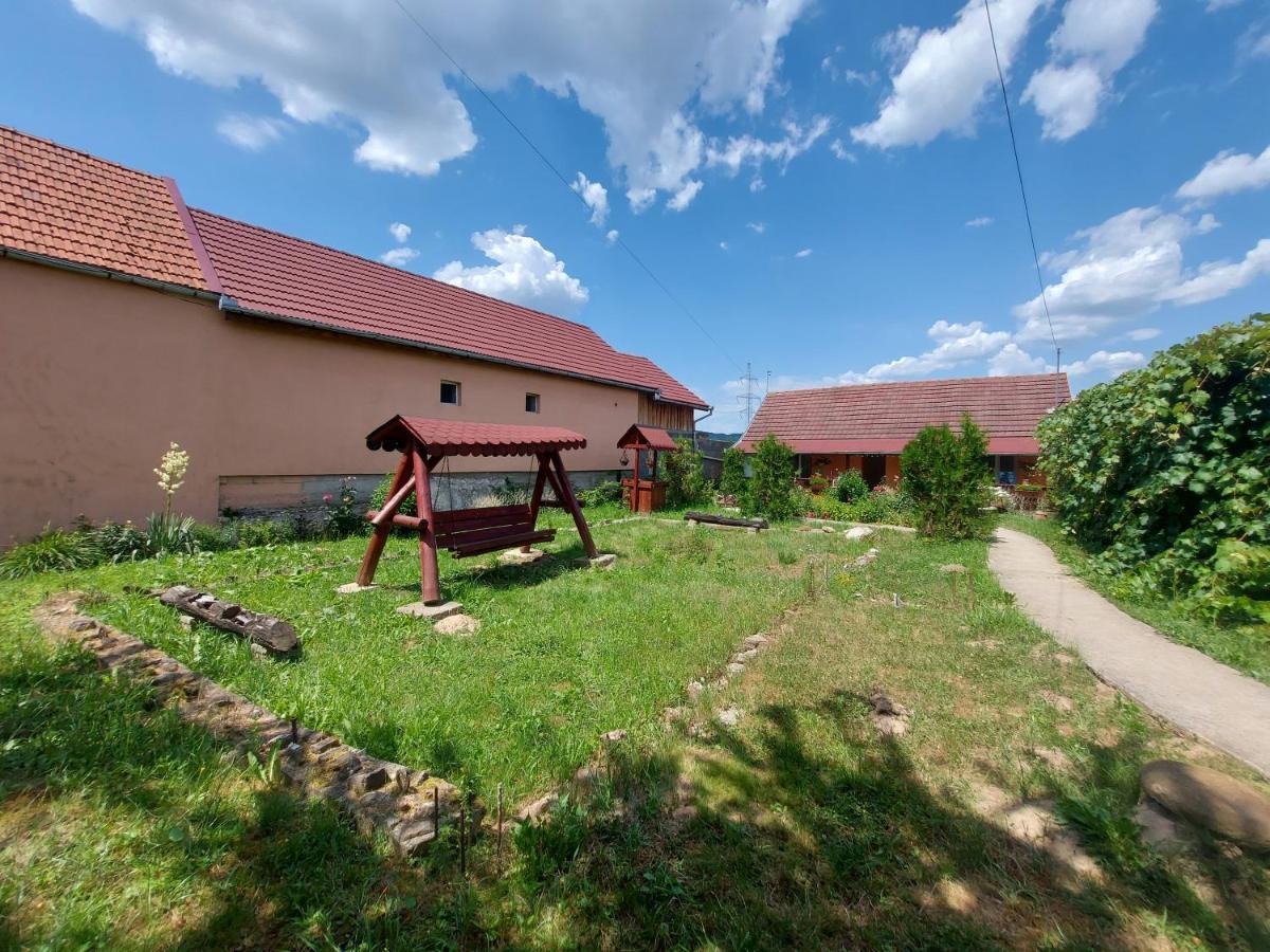 Casa De Vacanta In Tara Fagarasului Holiday home