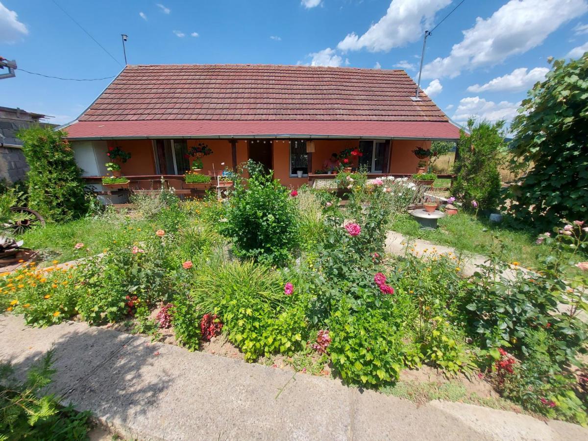 Holiday home Casa De Vacanta In Tara Fagarasului *