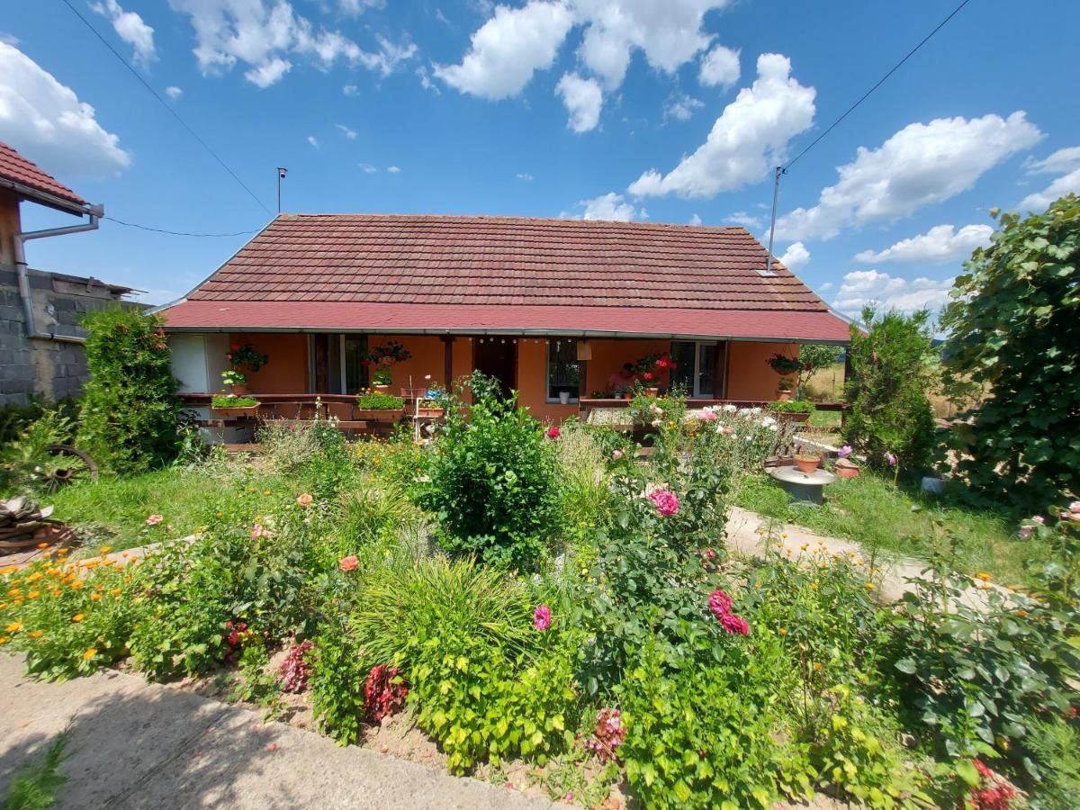 Casa De Vacanta In Tara Fagarasului *