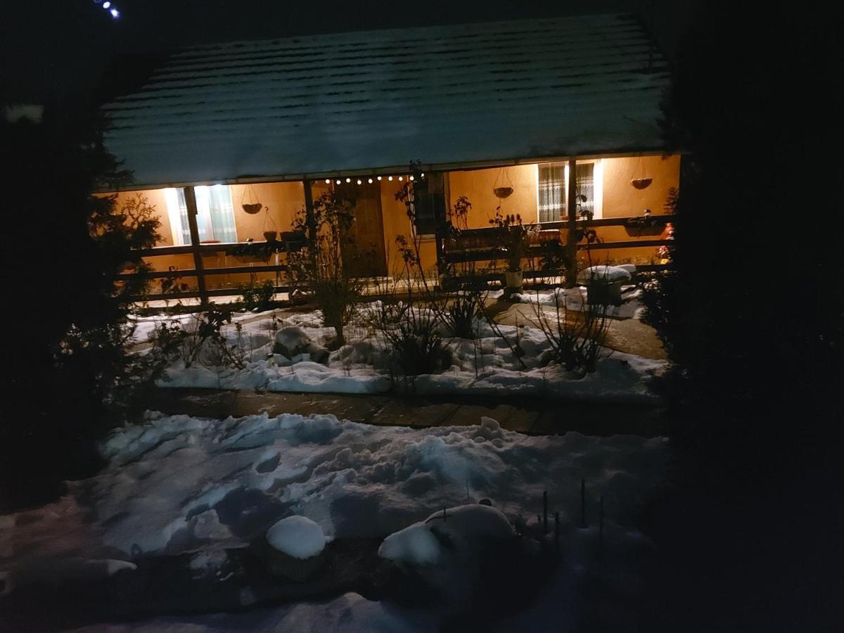 Holiday home Casa De Vacanta In Tara Fagarasului
