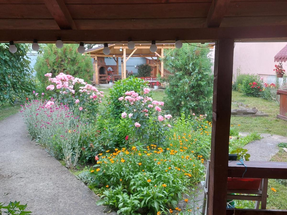 Casa De Vacanta In Tara Fagarasului Beclean (Brasov)